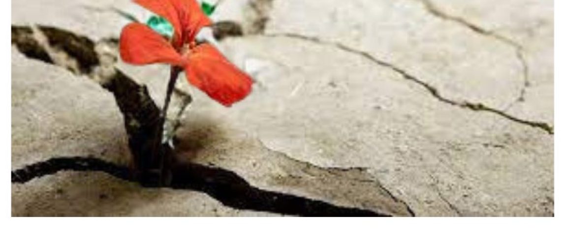 resilienza